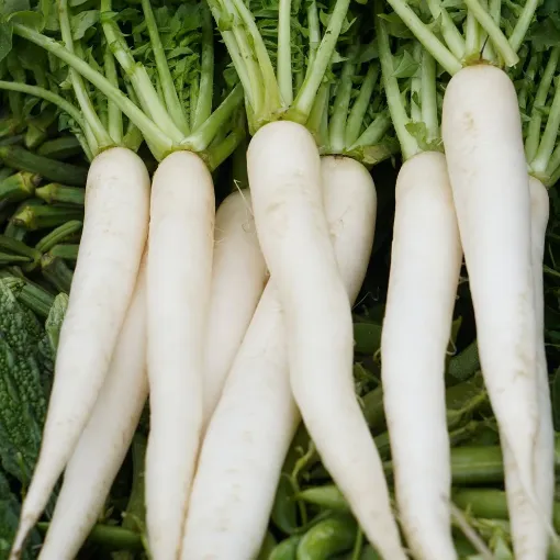 Picture of Radish - White - Muli -1kg