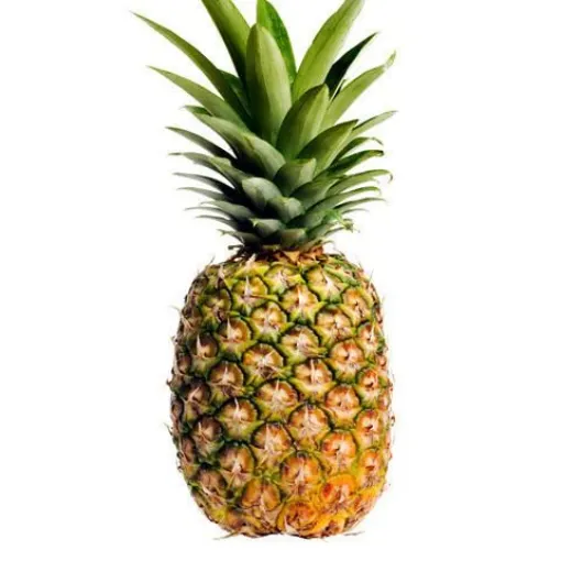 Picture of Pineapple 1pc