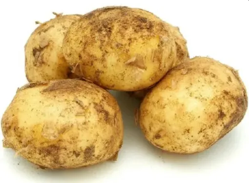 Picture of Potato(New) - Aloo (nya) - 1kg