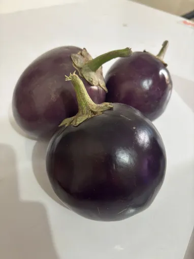 Picture of Brinjal Baigan for bharta 500gms