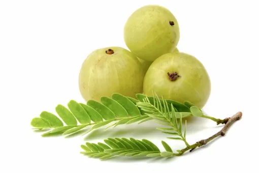 Picture of Amla - 500gm