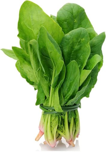 Picture of Spinach - Palak - Cleaned - 500g