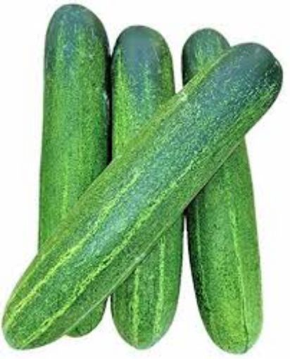 Picture of Cucumber - Kheera - 1kg Desi