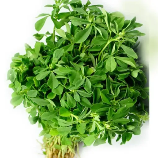 Picture of Methi 500gms