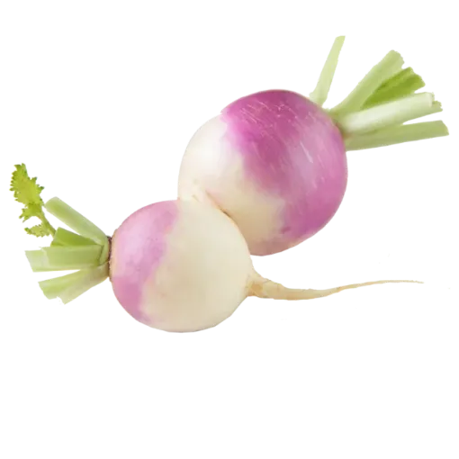 Picture of Turnip -1KG